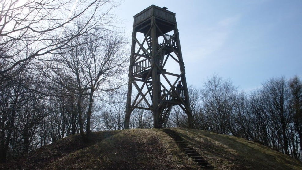 Ashøje skov - En Ny Udsigt Over Thy